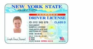 how often renew license ny